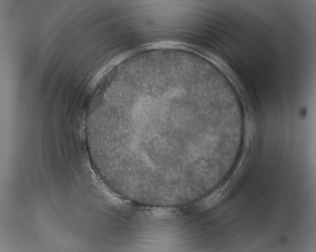 X0000114610857200912010935