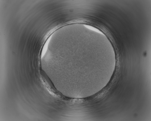 X0000114610858200912010935