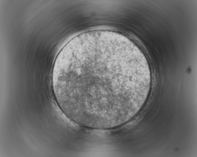 X0000114610860200912010935