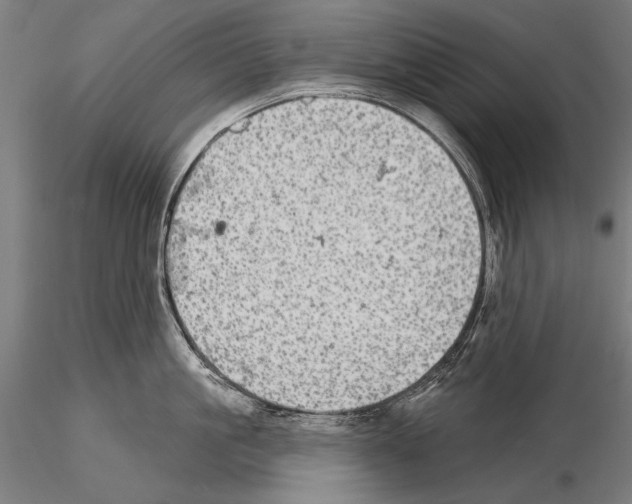 X0000114610861200912010936