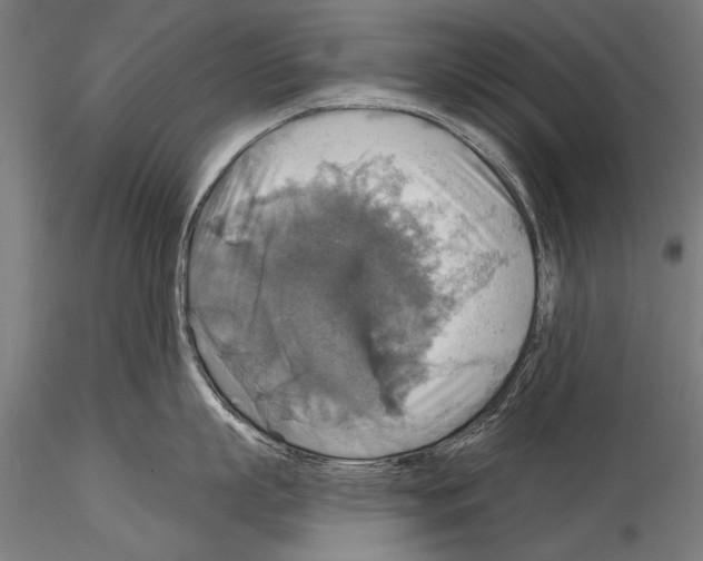 X0000114610863200912010936