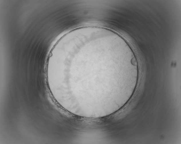 X0000114610864200912010936