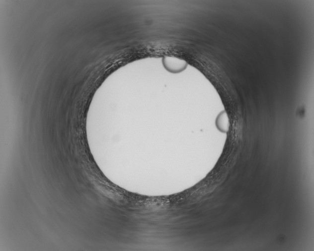 X0000114610865200912010935