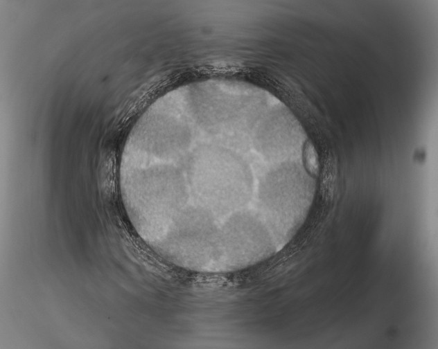 X0000114610866200912010935