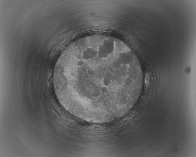 X0000114610867200912010935