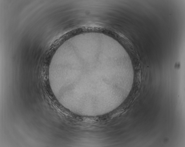 X0000114610870200912010935