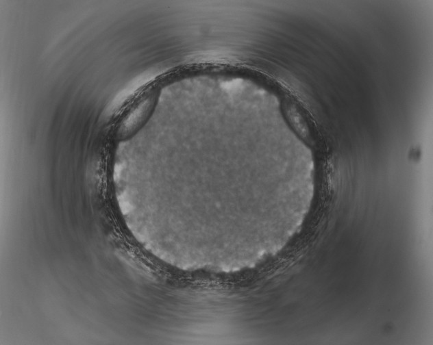 X0000114610872200912010934