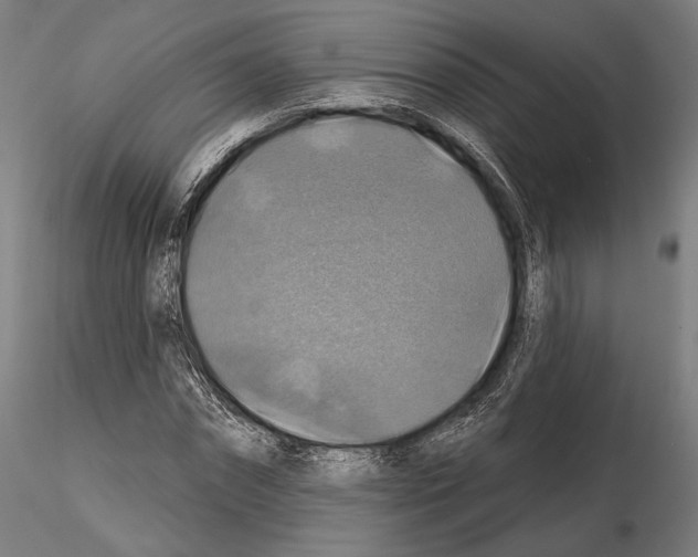 X0000114610874200912010934