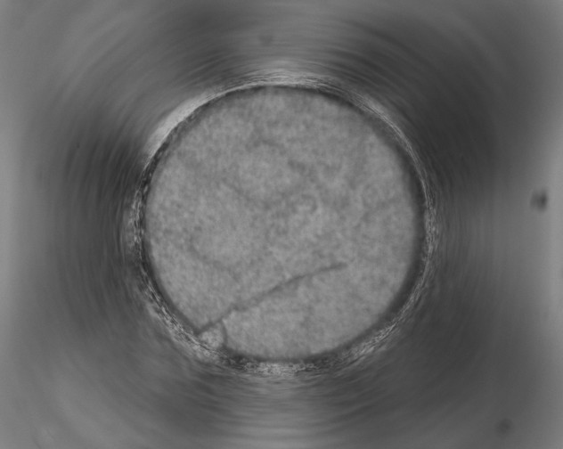 X0000114610875200912010934