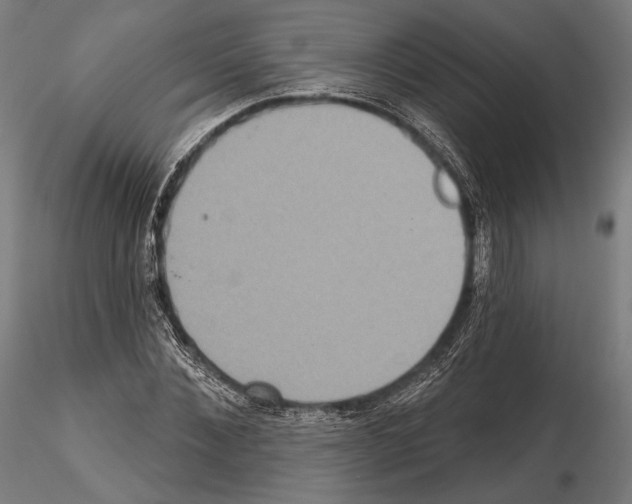 X0000114610876200912010934