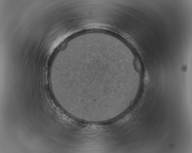 X0000114610877200912010934