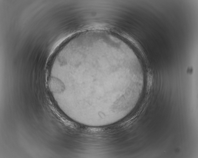 X0000114610878200912010934