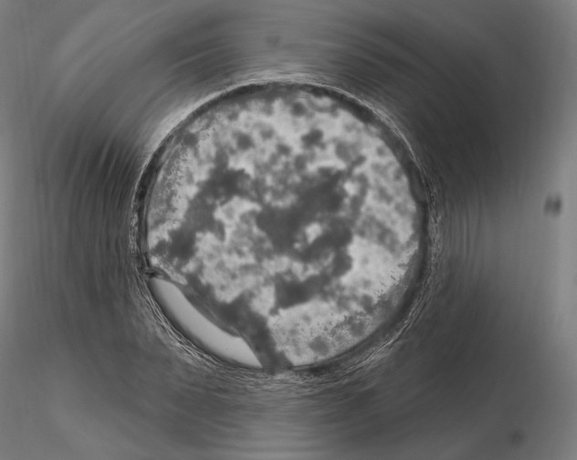 X0000114610879200912010934