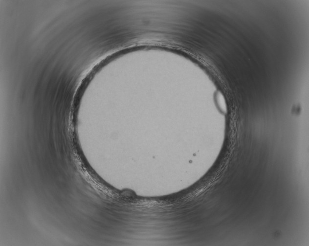 X0000114610880200912010934