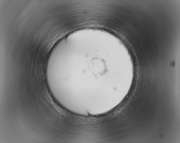 X0000114610881200912010934