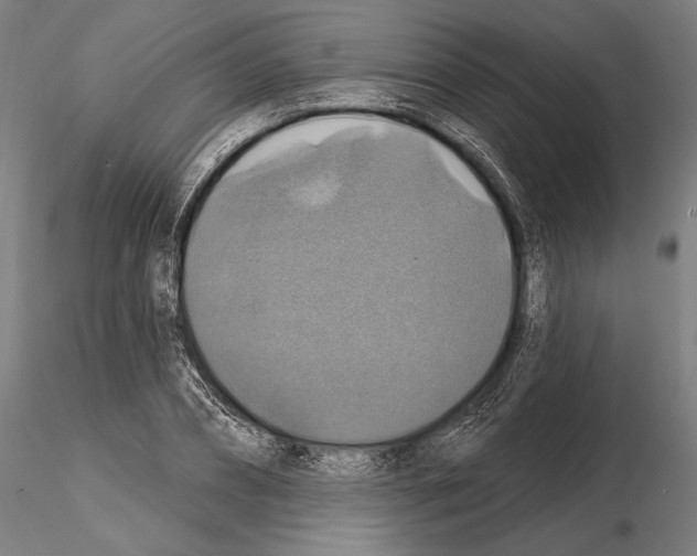 X0000114610882200912010934