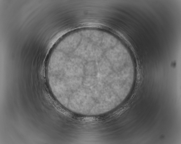 X0000114610883200912010934