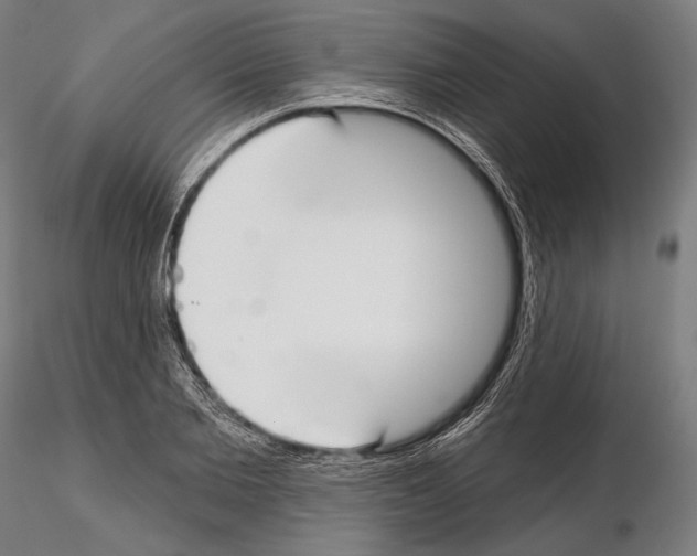 X0000114610885200912010934