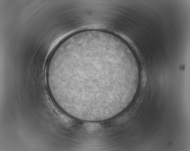 X0000114610886200912010934