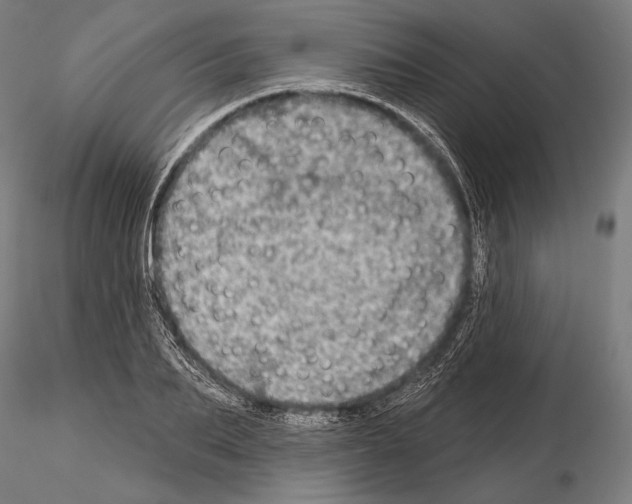 X0000114610887200912010934