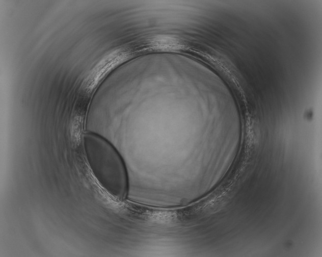 X0000114610889200912010934