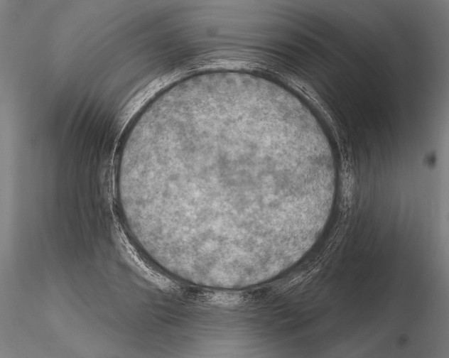 X0000114610890200912010934