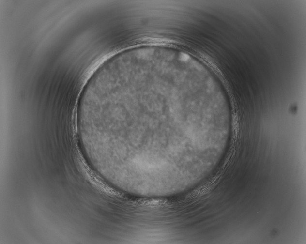 X0000114610891200912010934