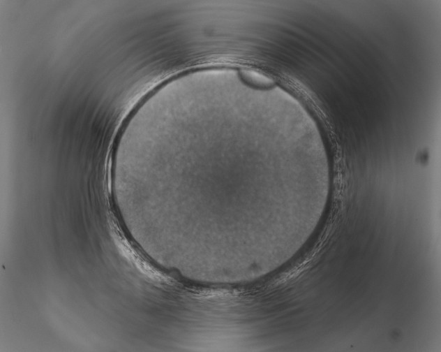 X0000114610892200912010934