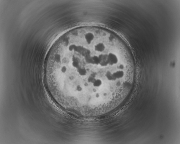 X0000114610895200912010934