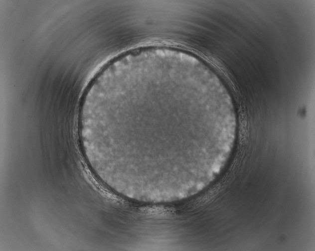 X0000114610896200912010934