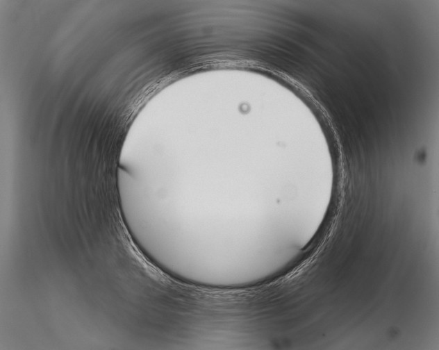 X0000114610897200912010934