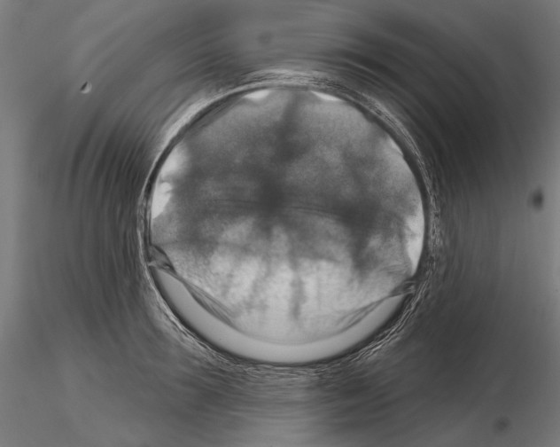 X0000114610899200912010934