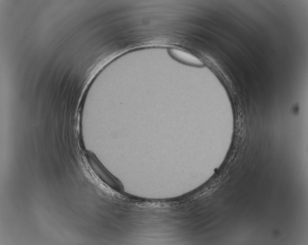 X0000114610900200912010934