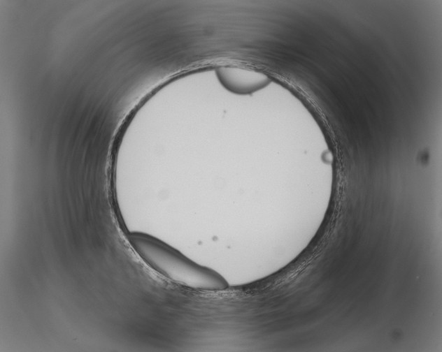 X0000114610902200912010934