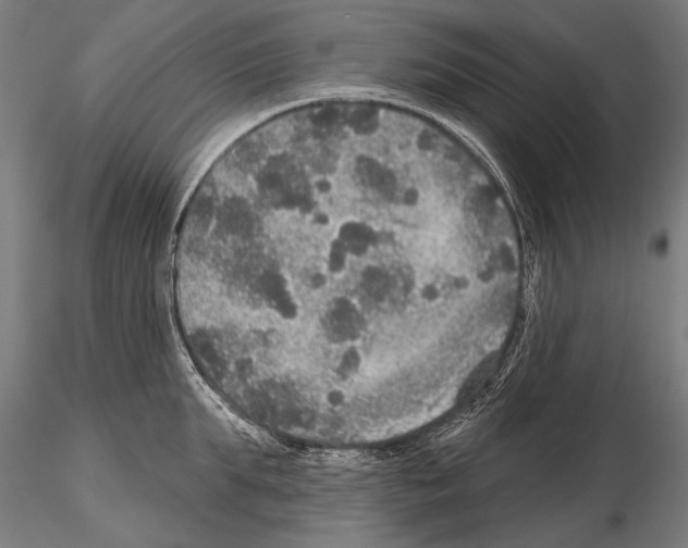 X0000114610903200912010934