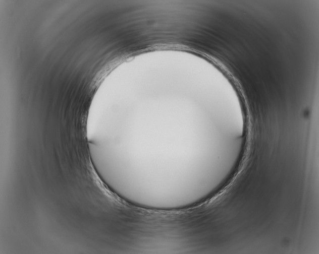 X0000114610905200912010934