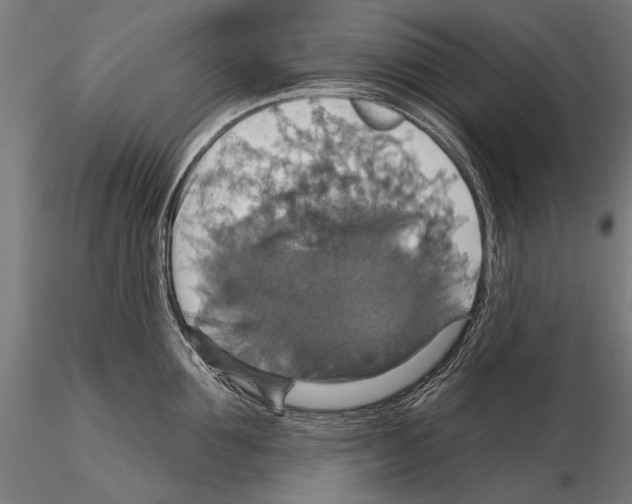 X0000114610907200912010934