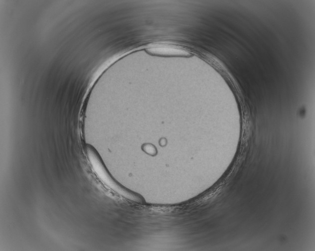 X0000114610908200912010934