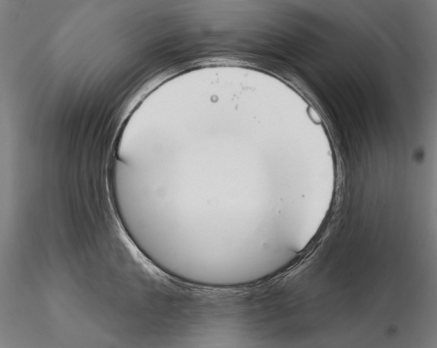 X0000114610909200912010934