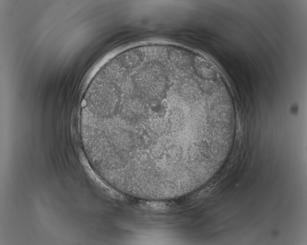 X0000114610911200912010934