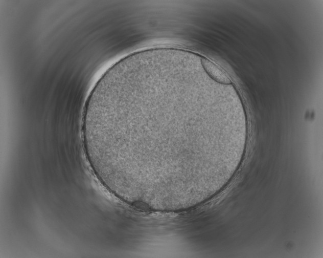 X0000114610912200912010934