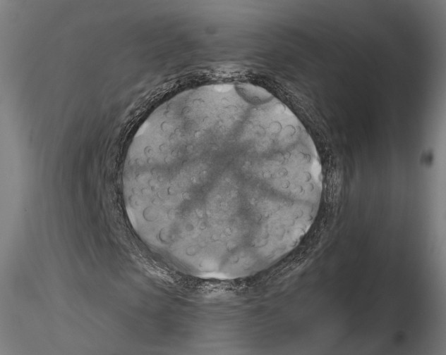 X0000114610913200912010933