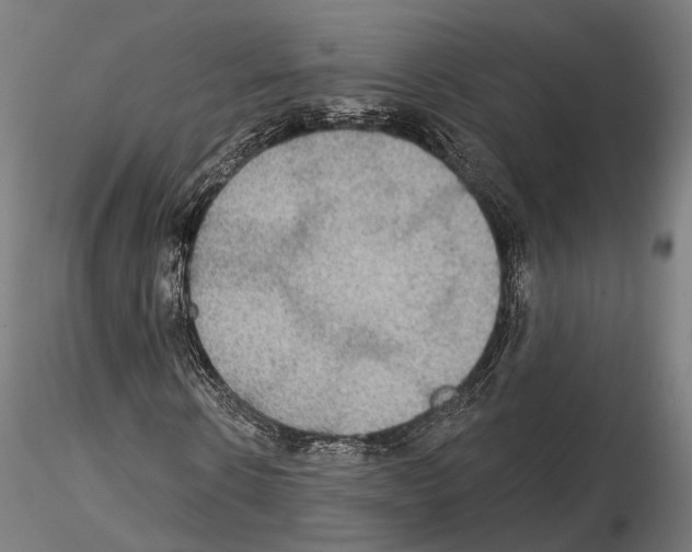 X0000114610914200912010933