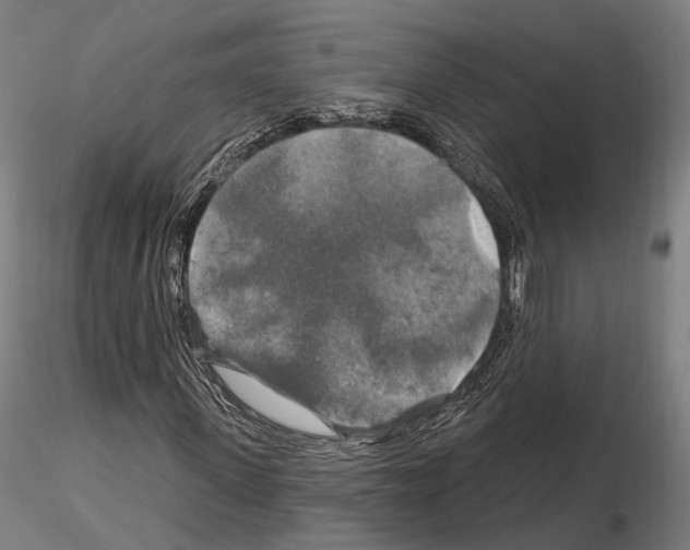 X0000114610915200912010933