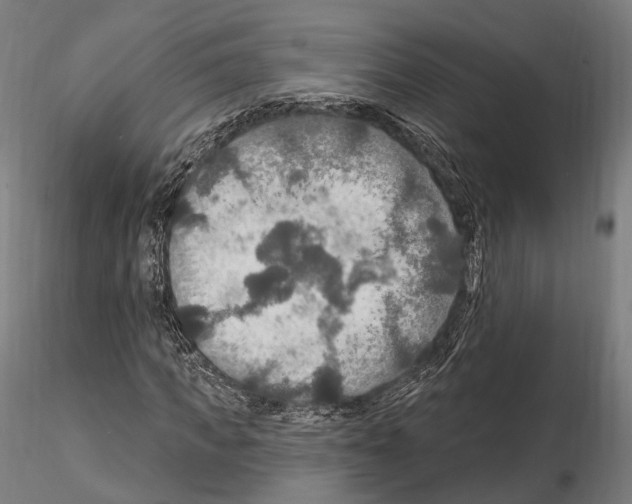 X0000114610917200912010933