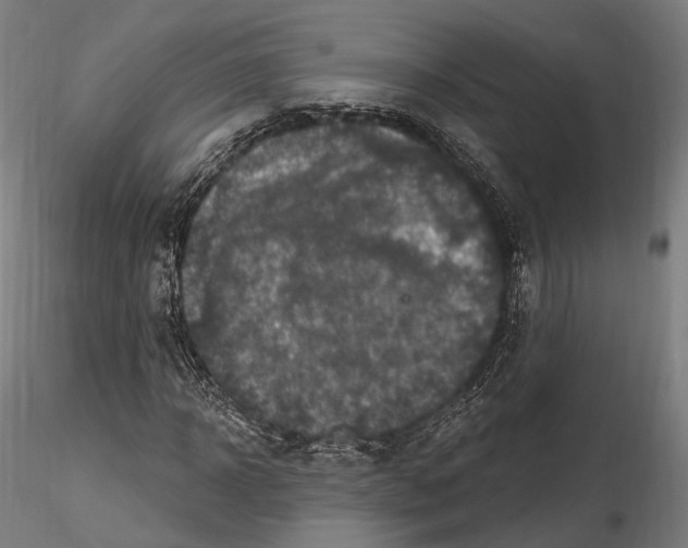 X0000114610918200912010933