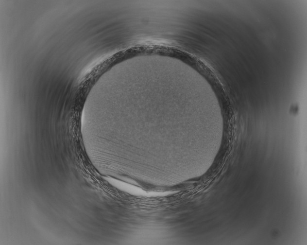 X0000114610919200912010933