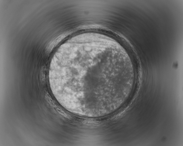 X0000114610921200912010933