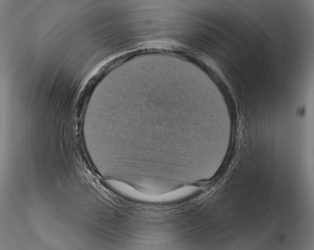 X0000114610923200912010933