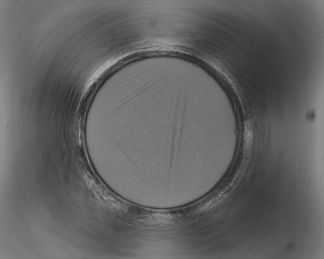 X0000114610925200912010933